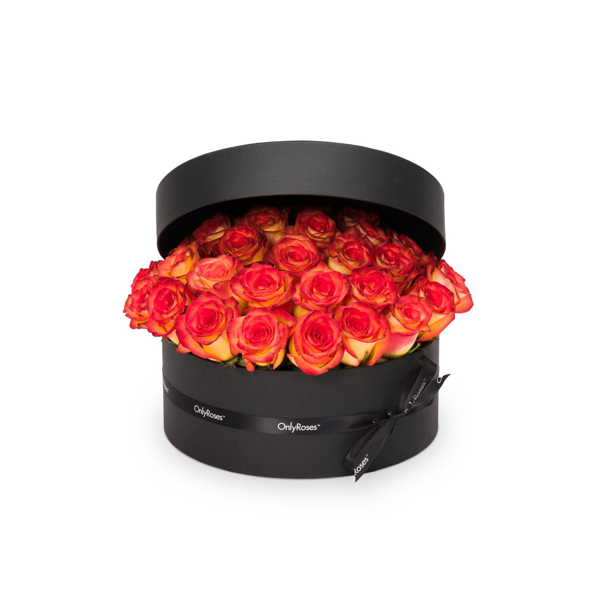 Classic Rose Manhattan by OnlyRoses Riyadh