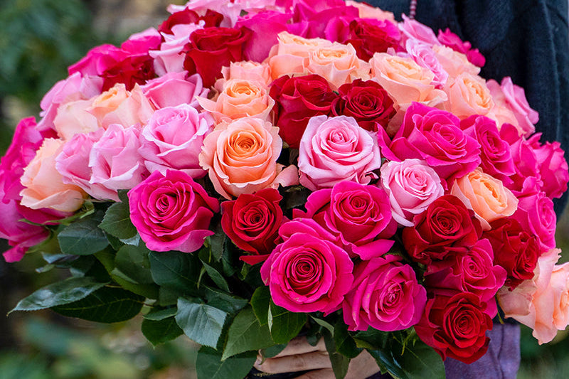 Classic Roses by OnlyRoses Riyadh