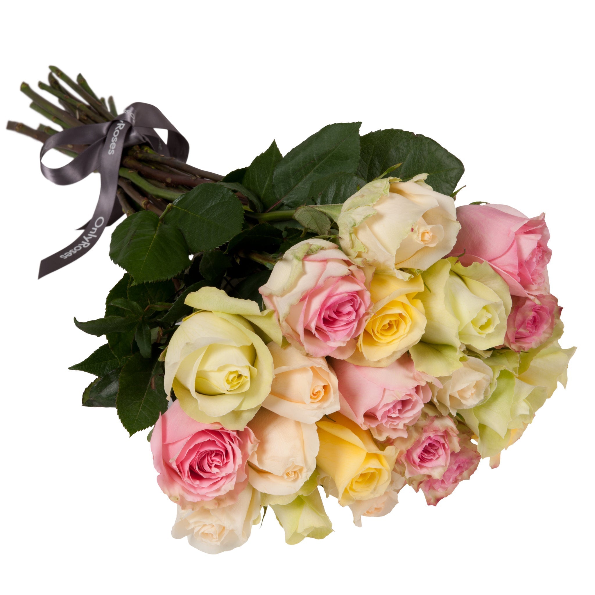 Classic Rose Stems