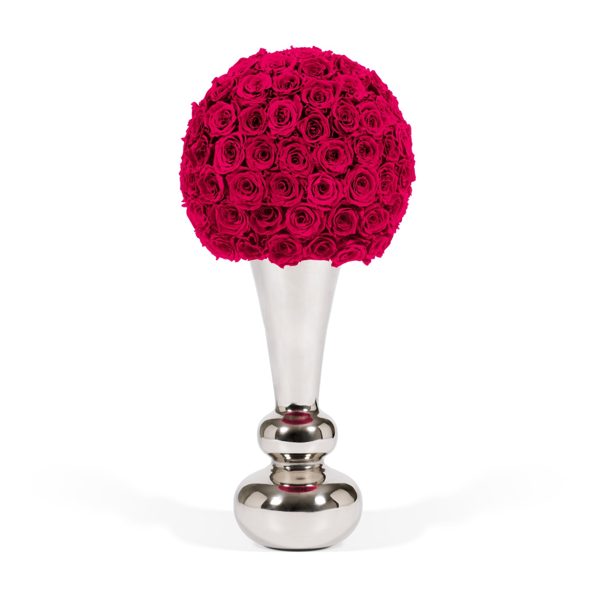 Infinite Rose Aurora