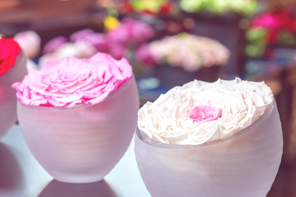 Infinite Roses® — Luxury Preserved Roses That Last Without Water by OnlyRoses Riyadh