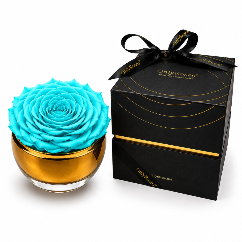 Blue rose in a gold container with a black box labeled 'Only Roses' on a white background