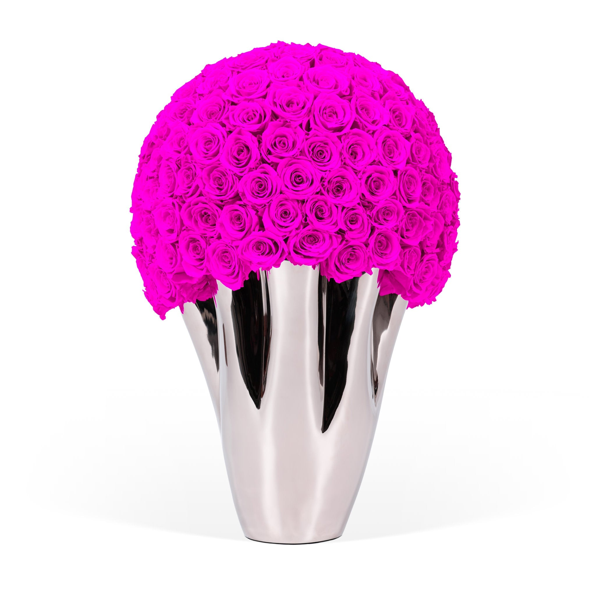 Silver vase with bright pink roses on a white background