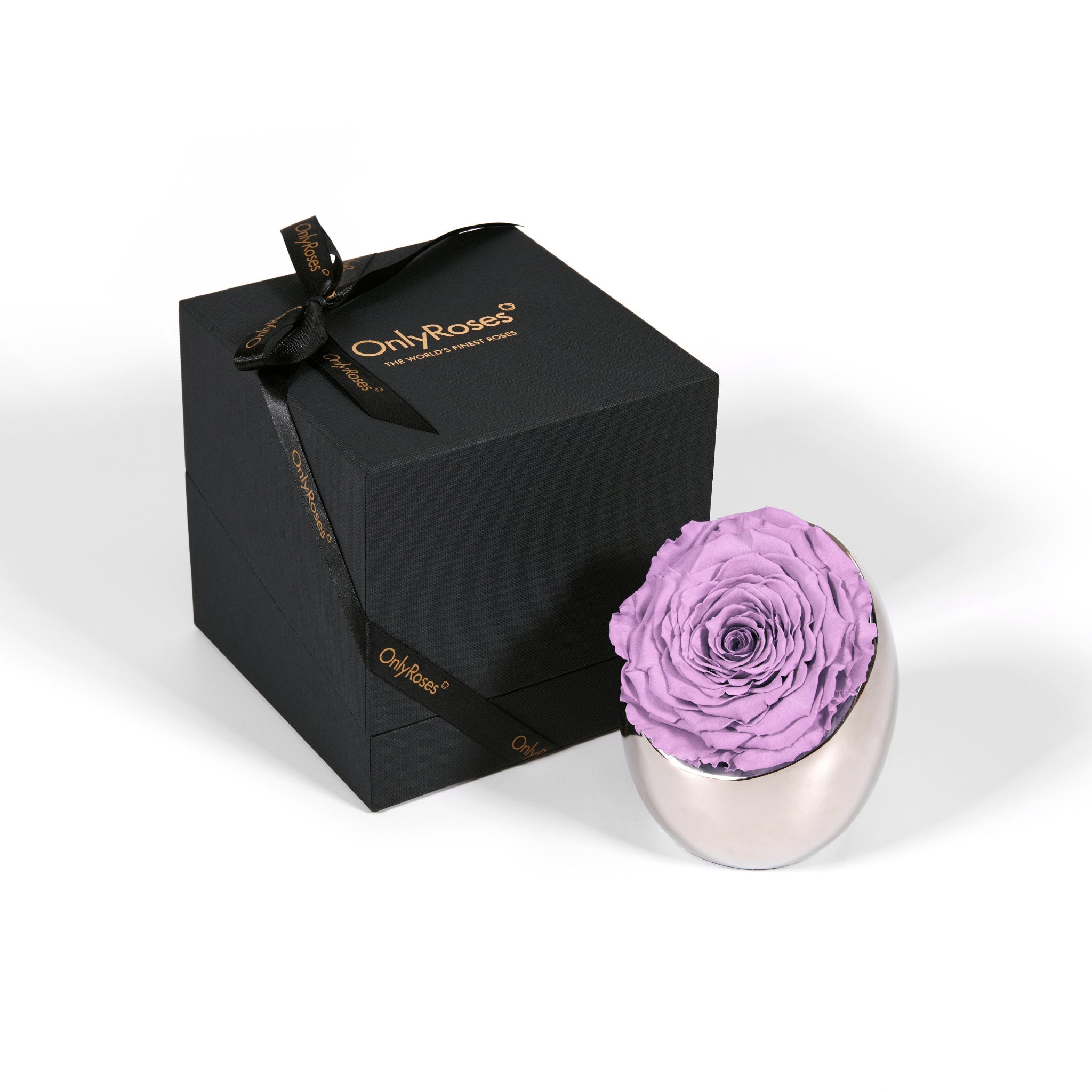 Purple rose in a silver holder next to an 'Only Roses' black box on a white background