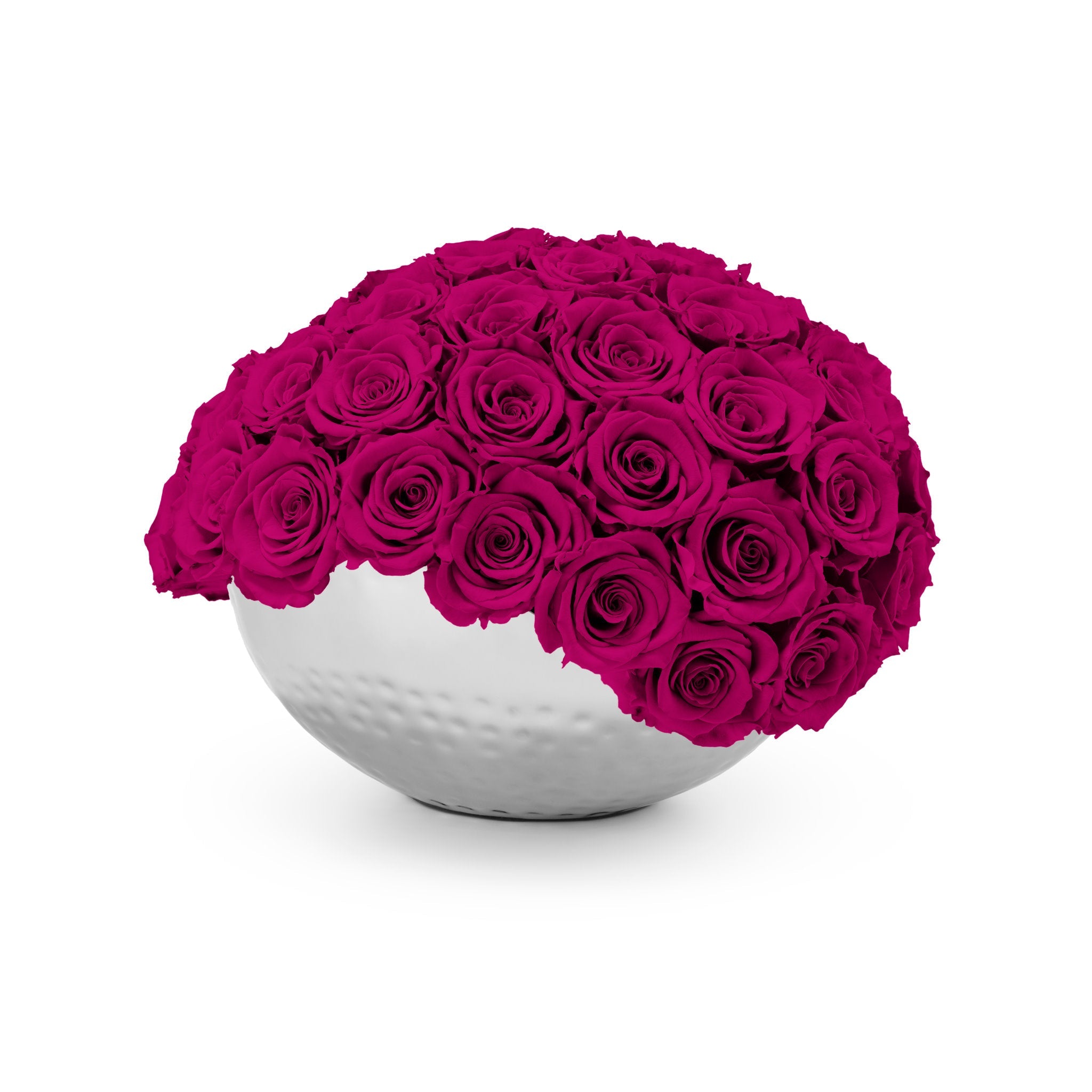 White spherical vase filled with bright pink roses on a white background