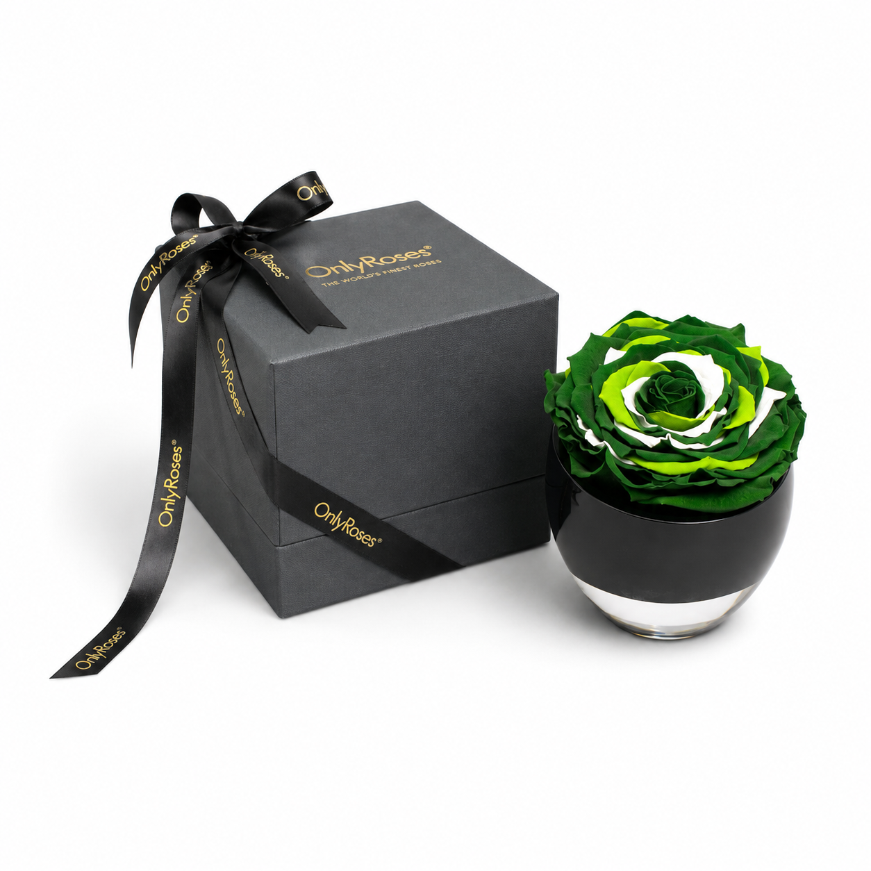 XXL green and white Infinite Rose in a black glass bowl, beside a grey OnlyRoses gift box with ribbon