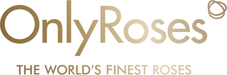 OnlyRoses KSA