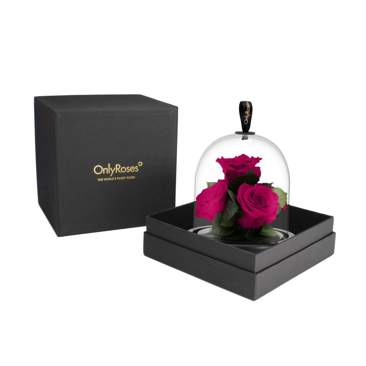 Infinite Rose Gem | OnlyRoses KSA