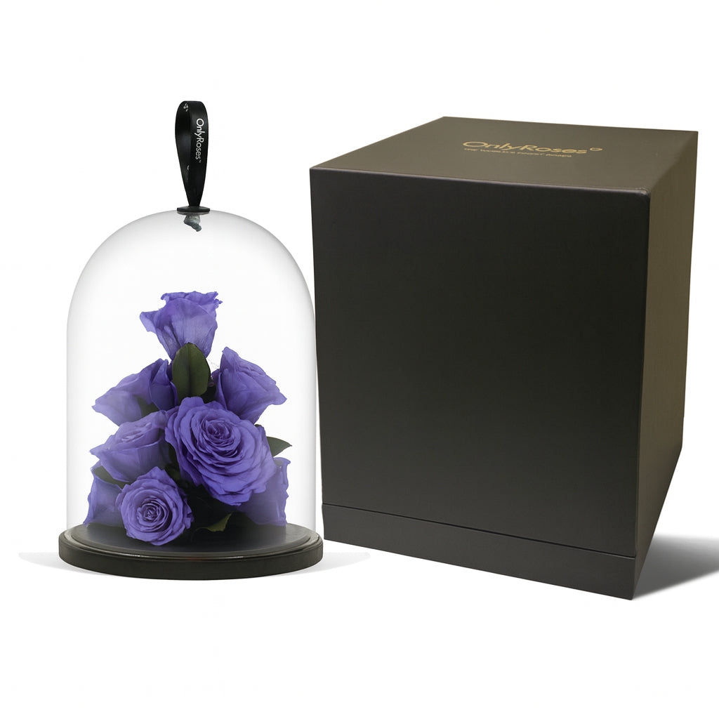 Infinite Rose Jewel
