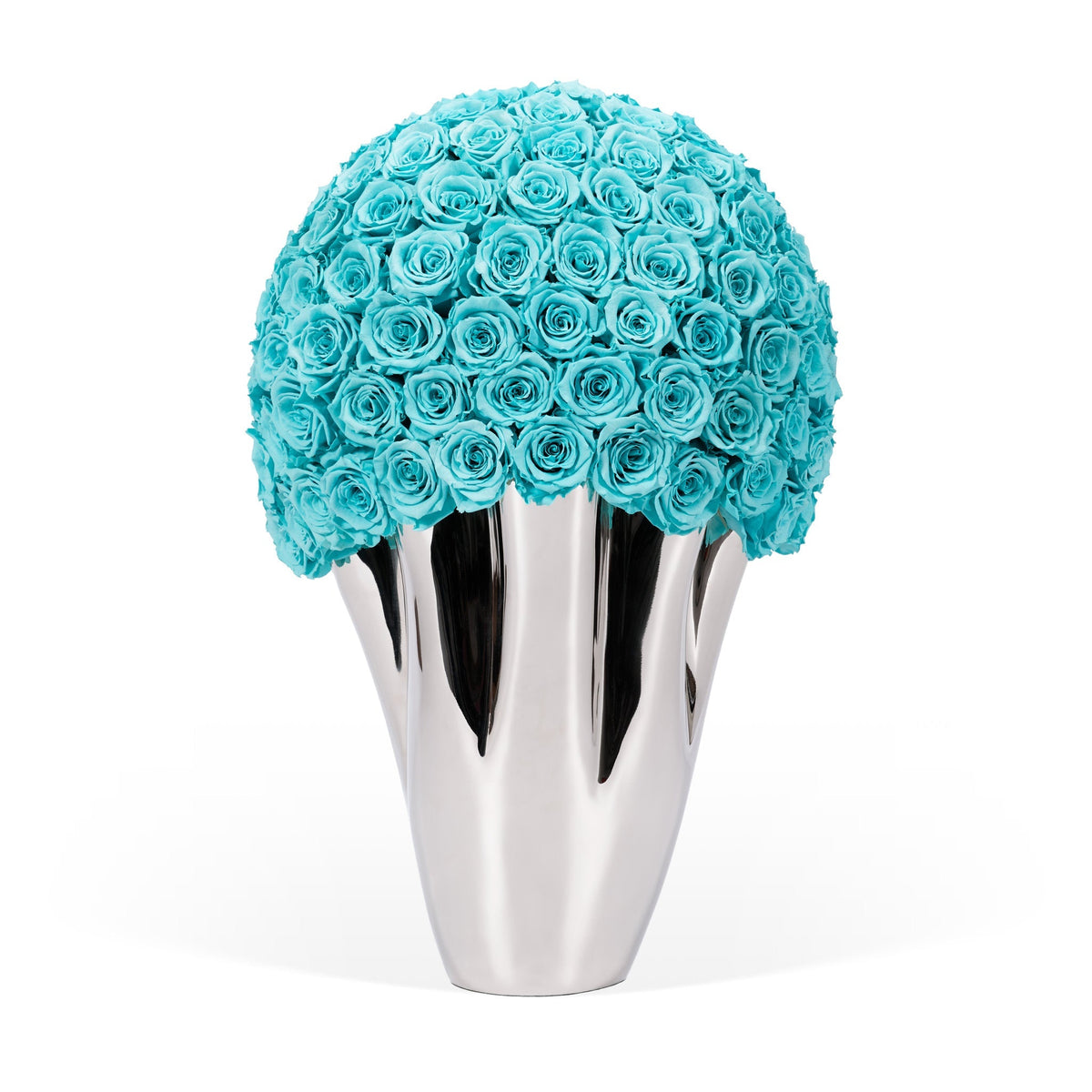 Infinite Rose Lady Jane | OnlyRoses KSA