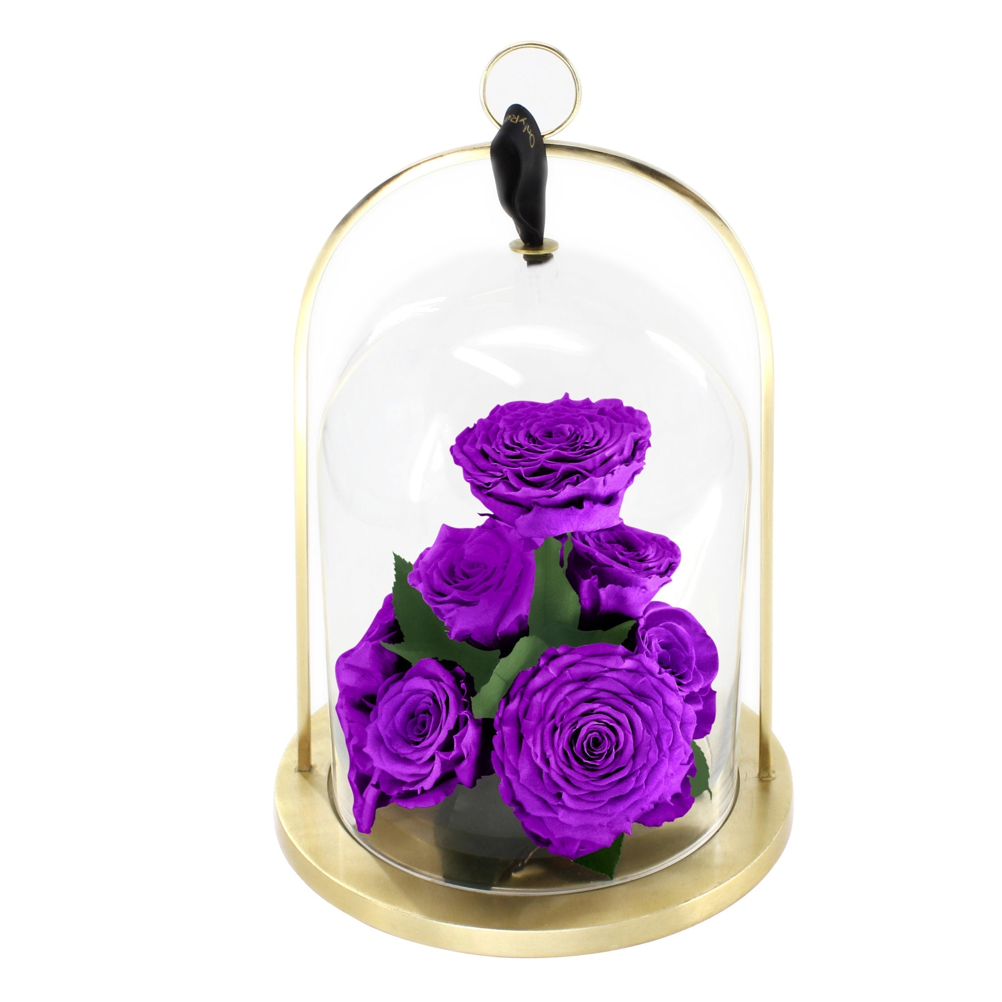 Infinite Rose Lantern Jewel