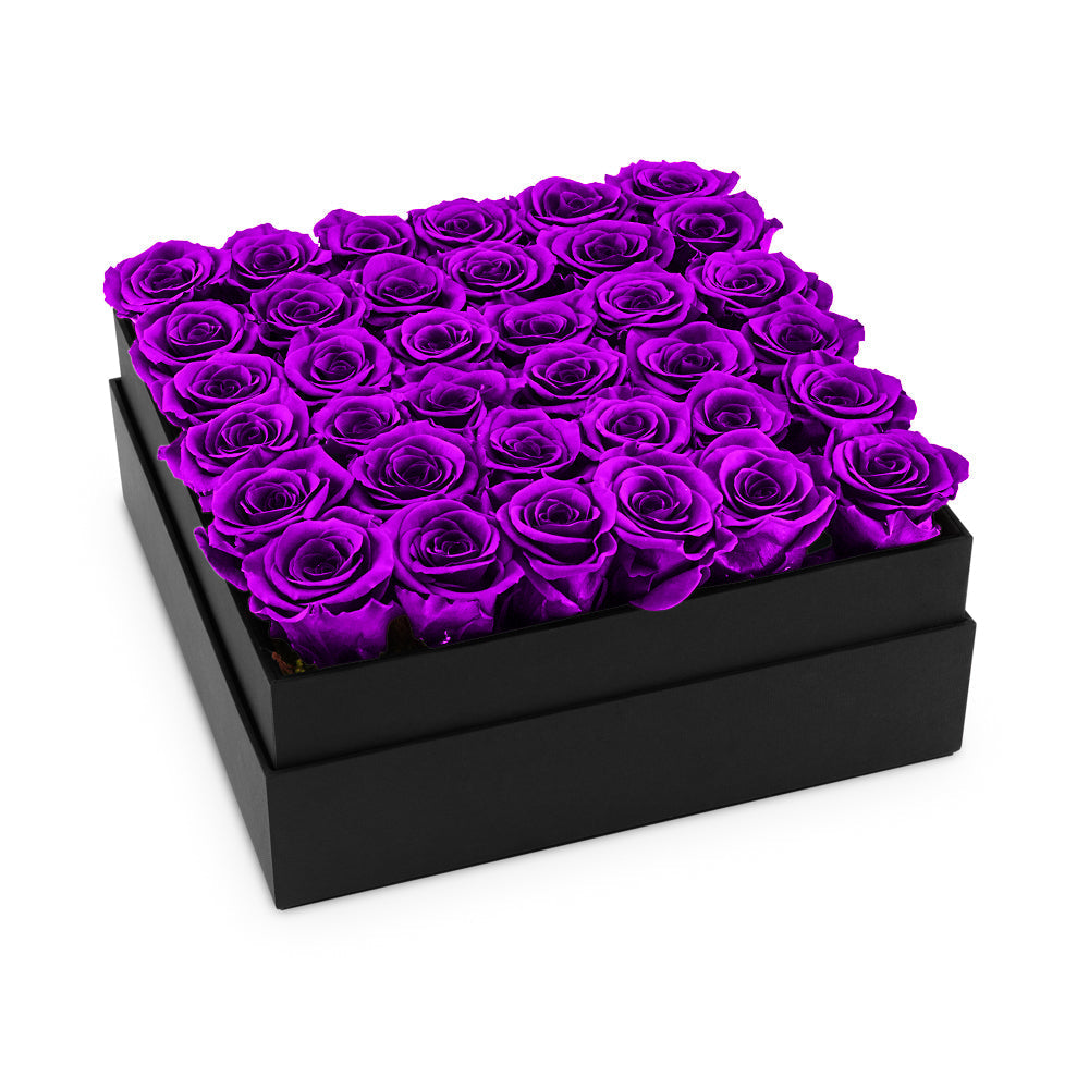 Infinite Rose Plaza