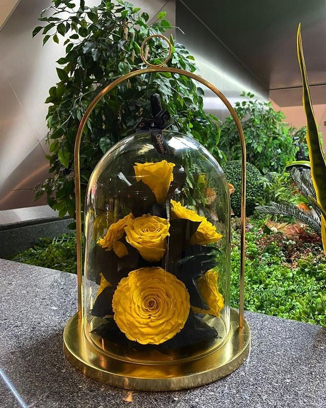 Yellow roses in a glass dome with gold base on a surface with greenery in the background