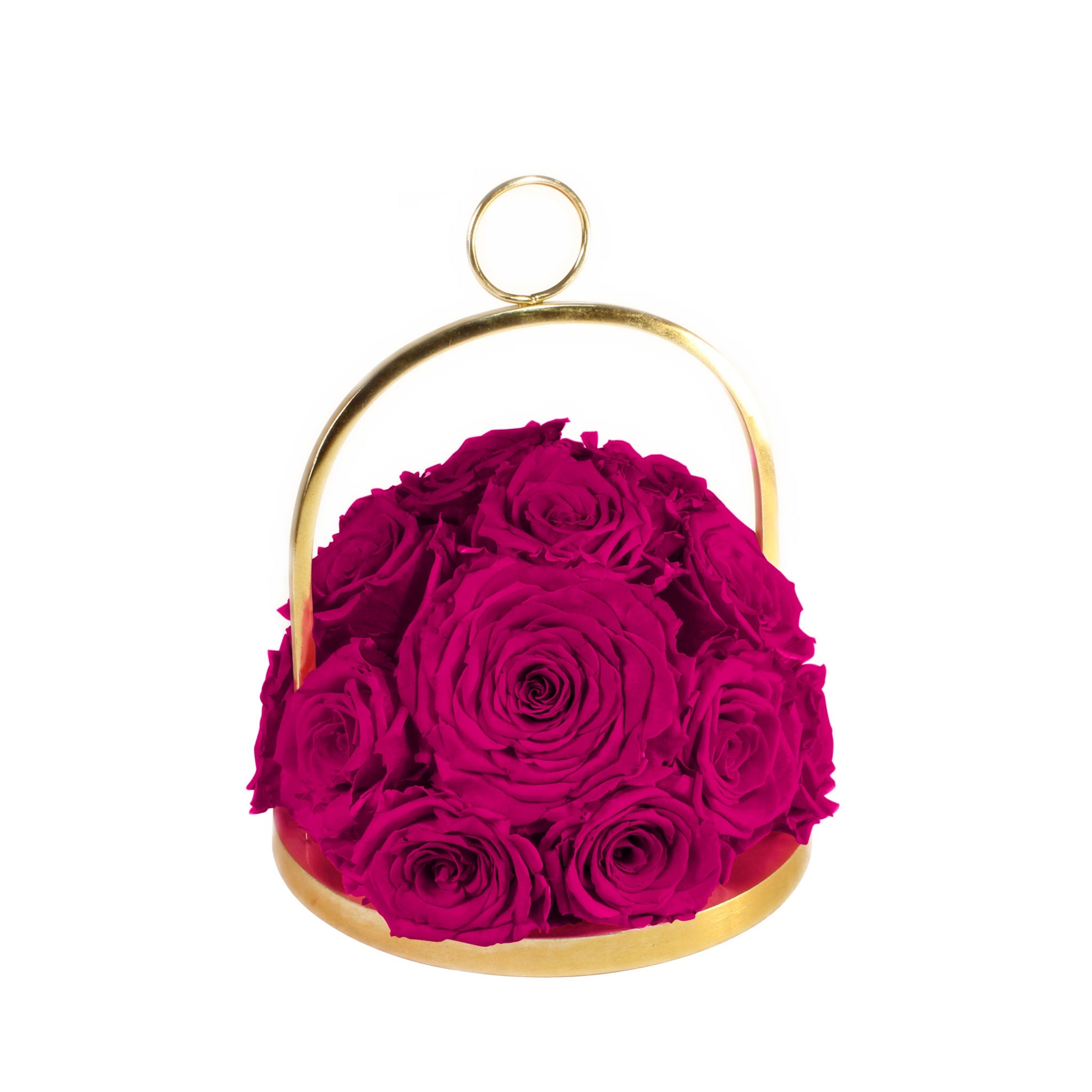 Pink roses in a gold holder on a white background
