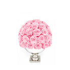 Pink rose ball in a white vase on a white background