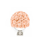 Ball of pink roses in a white vase on a white background