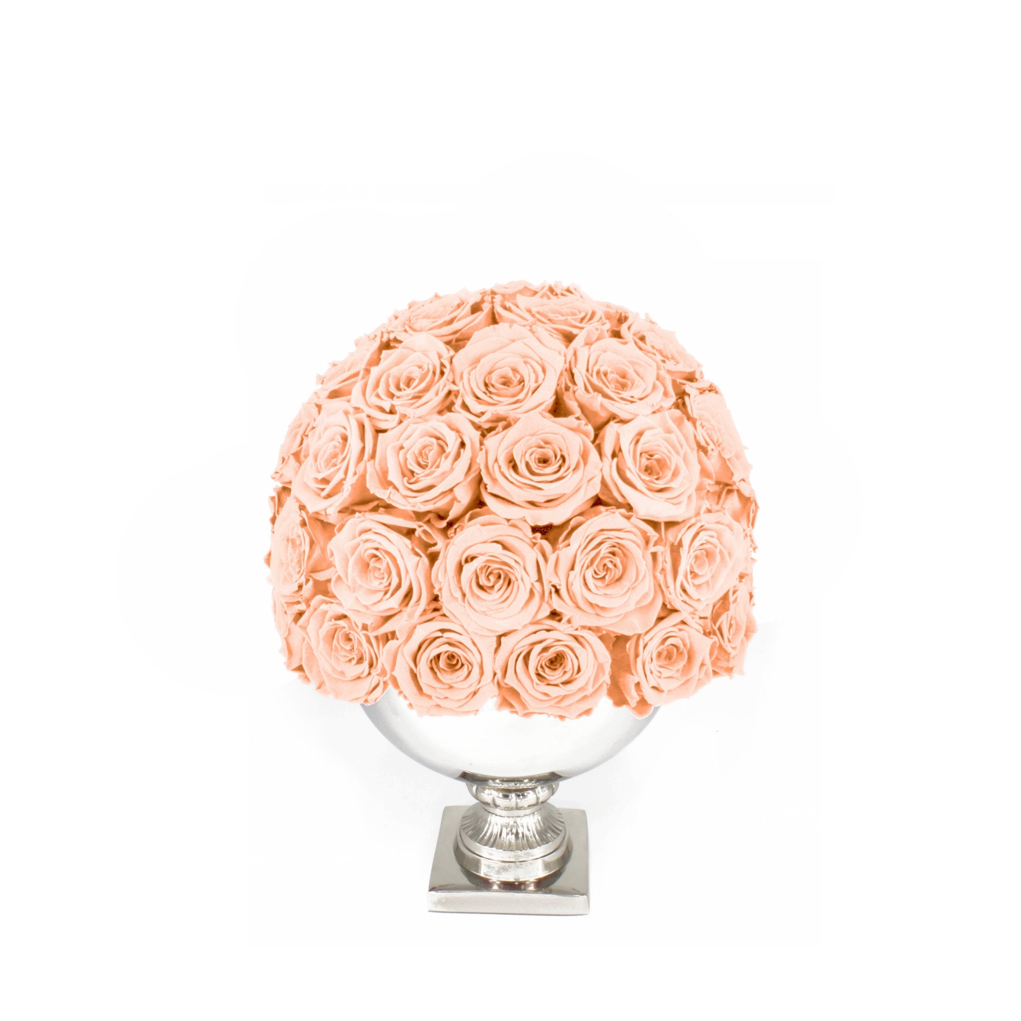 Ball of pink roses in a white vase on a white background