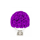 Purple roses in a white vase on a white background