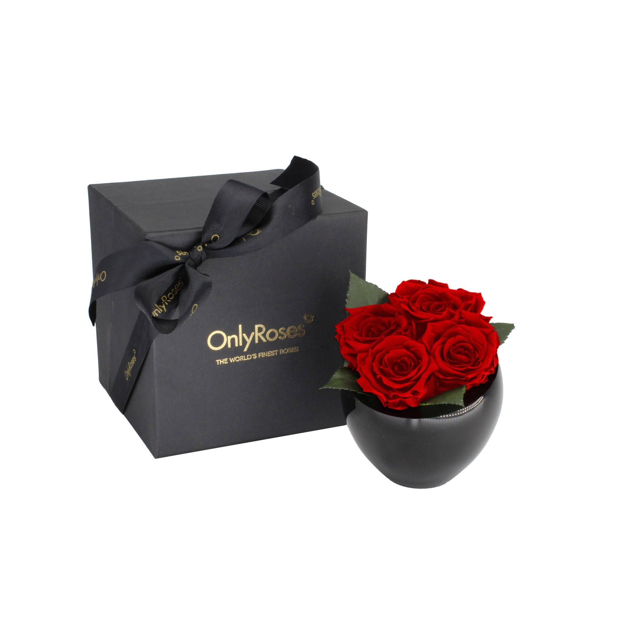 Black gift box with a bow and 'Only Roses' branding next to a black vase with red roses on a white background.