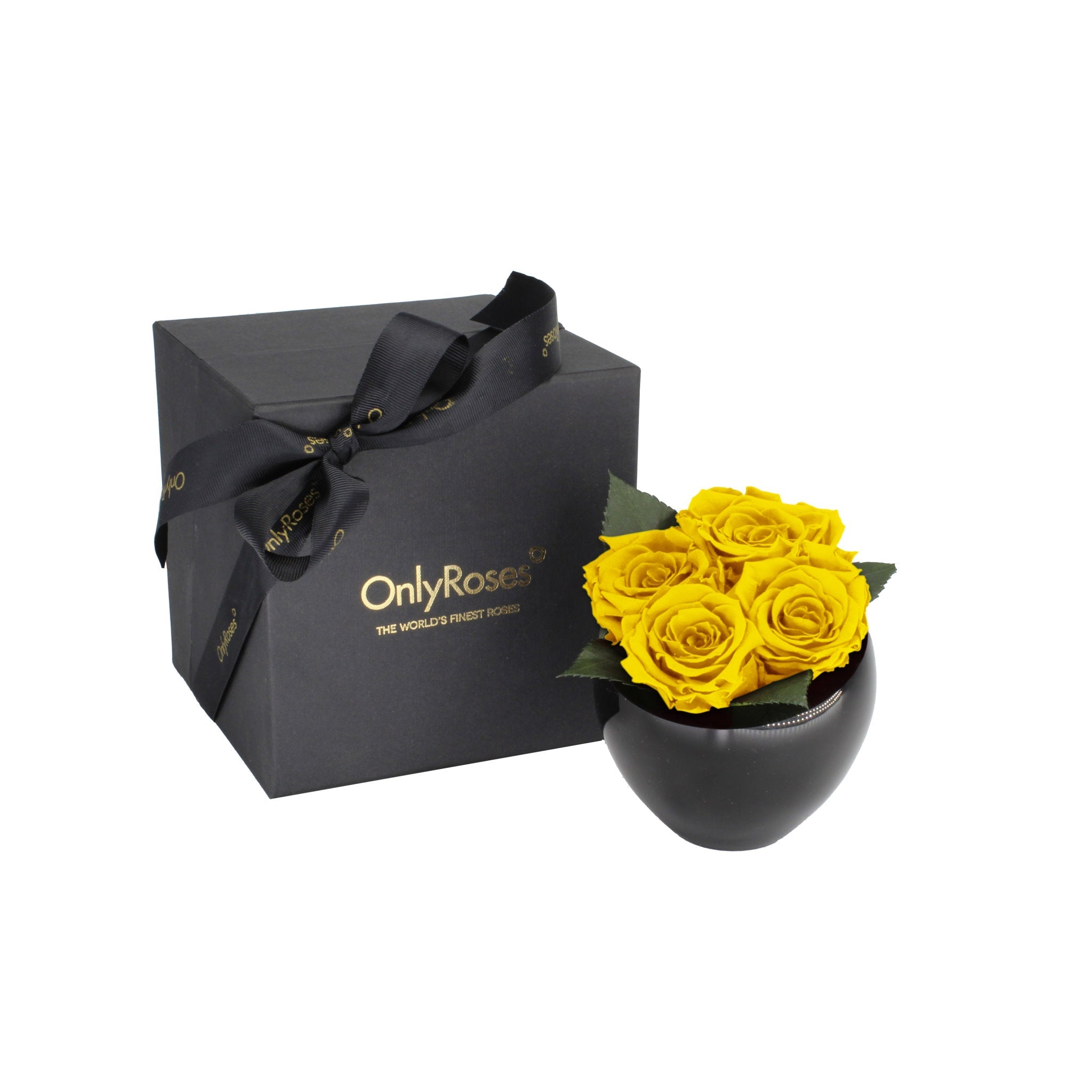 Black gift box with a black bow and 'Only Roses' branding next to a black vase with yellow roses on a white background.