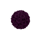 Ball of dark purple roses on a white background