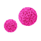 Two pink rose balls on a white background