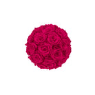 Bouquet of red roses on a white background