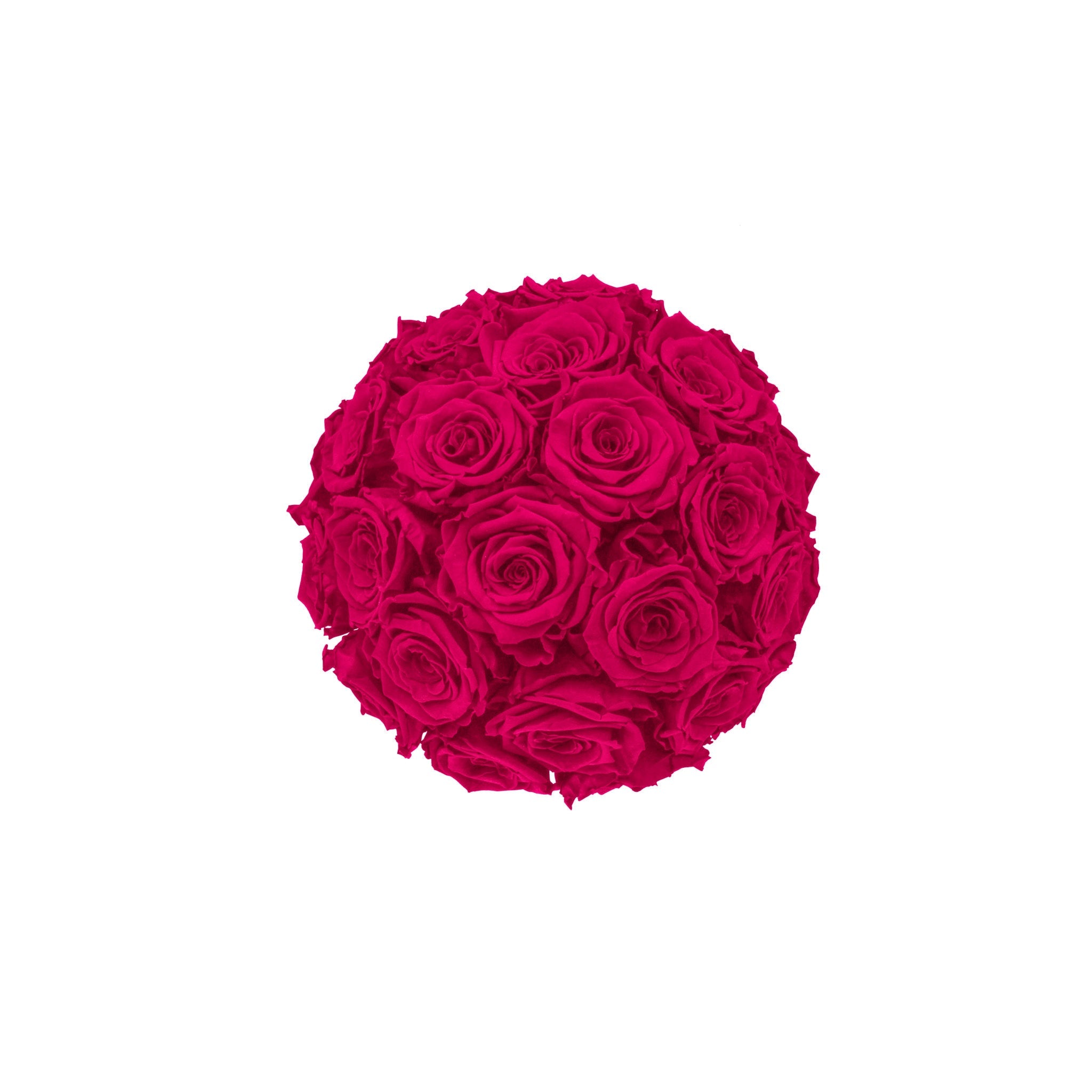 Bouquet of red roses on a white background
