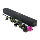 Pink rose with green leaves next to a black box labeled 'Only Roses' on a white background