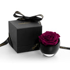 Black box with a purple rose inside on a white background
