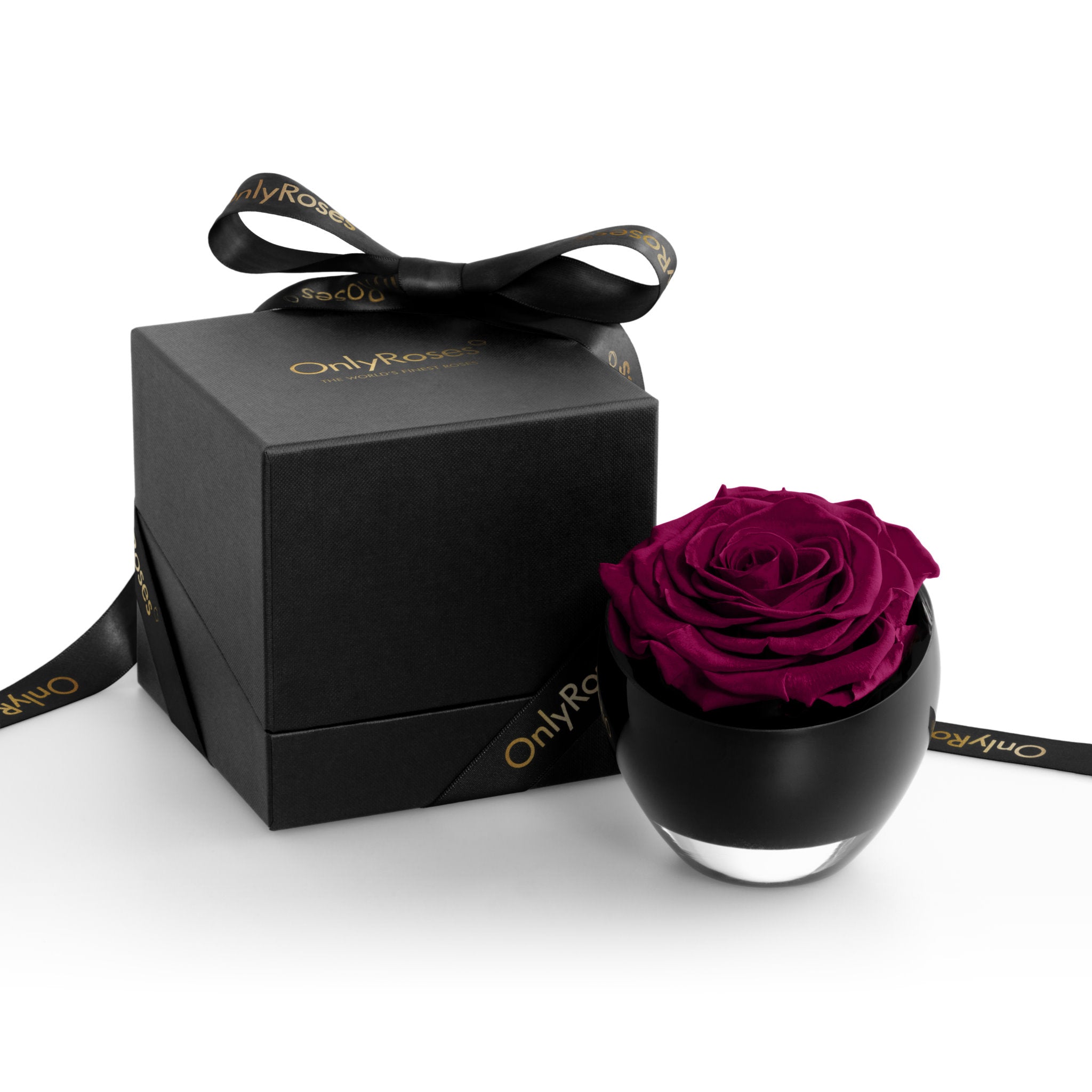 Black box with a purple rose inside on a white background