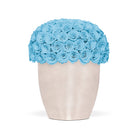 Beige vase with blue roses on a white background