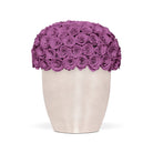 White vase filled with purple roses on a white background
