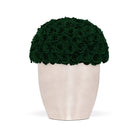 White vase with green artificial roses on a white background