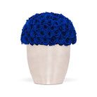 White vase filled with blue roses on a white background