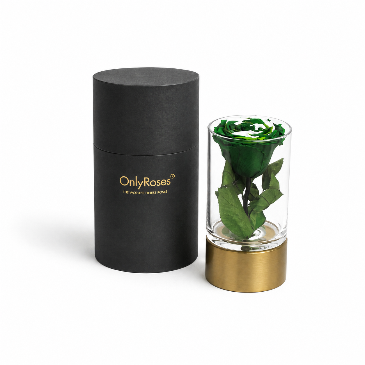 Single green Infinite Rose in a clear glass vase with a brass base, beside a black cylindrical OnlyRoses gift box