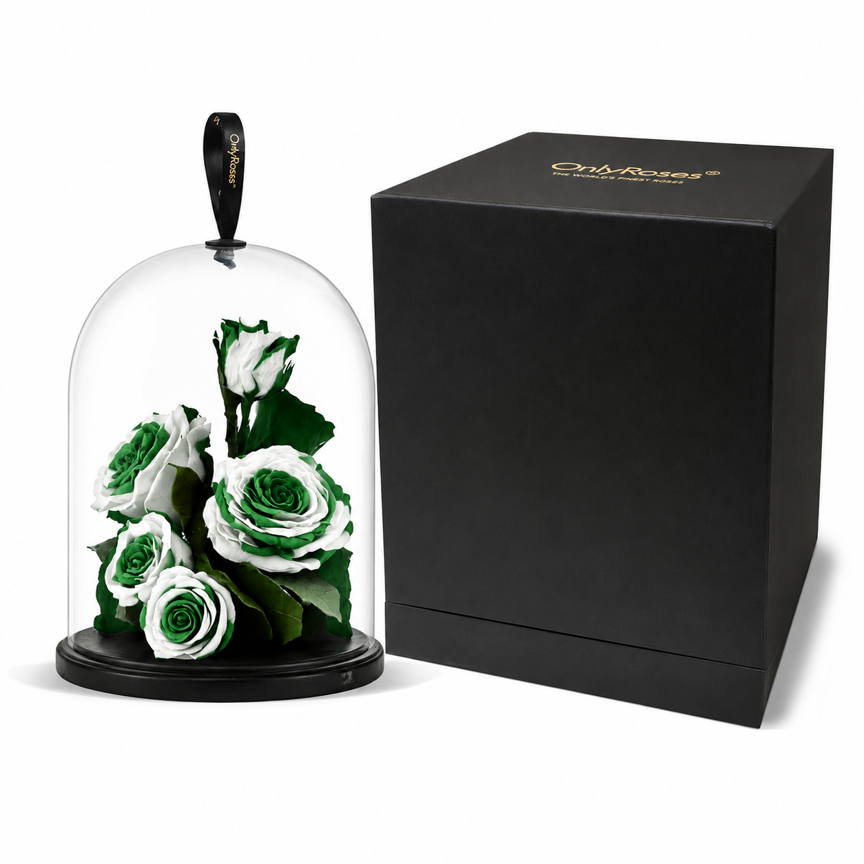 Green and white Infinite Roses beneath a glass bell jar on a black base, beside a black OnlyRoses gift box
