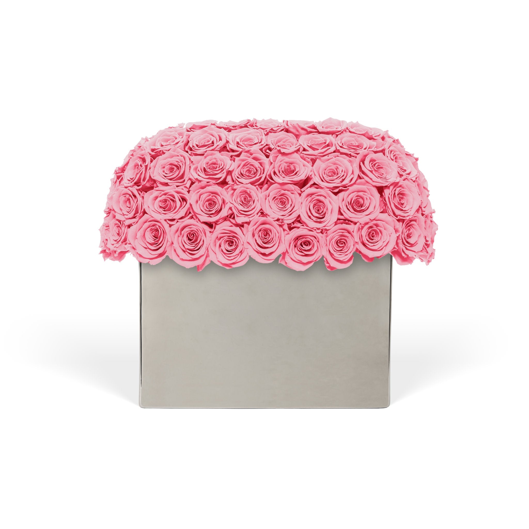 Pink rose box on a white background