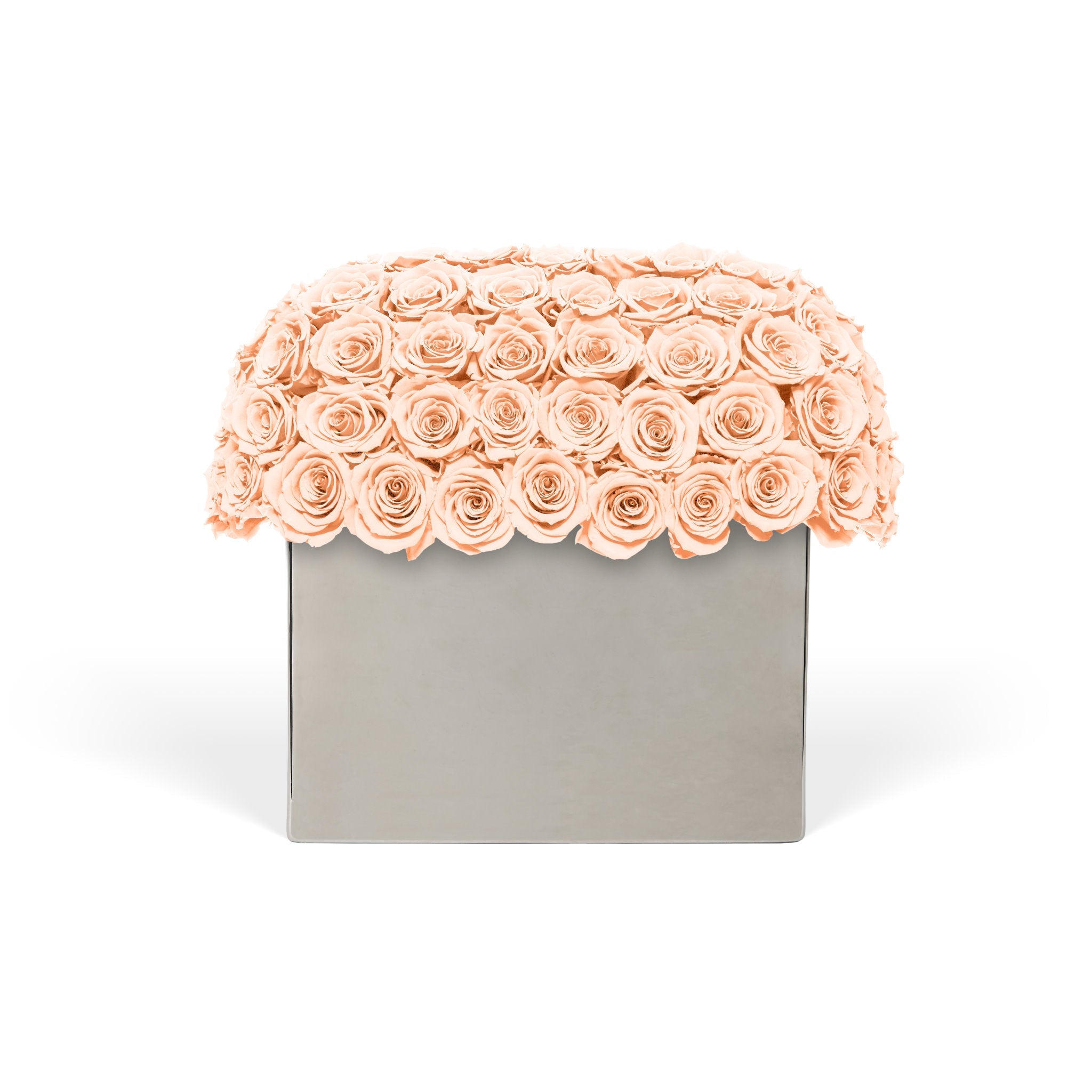 Decorative box with peach-colored roses on a white background
